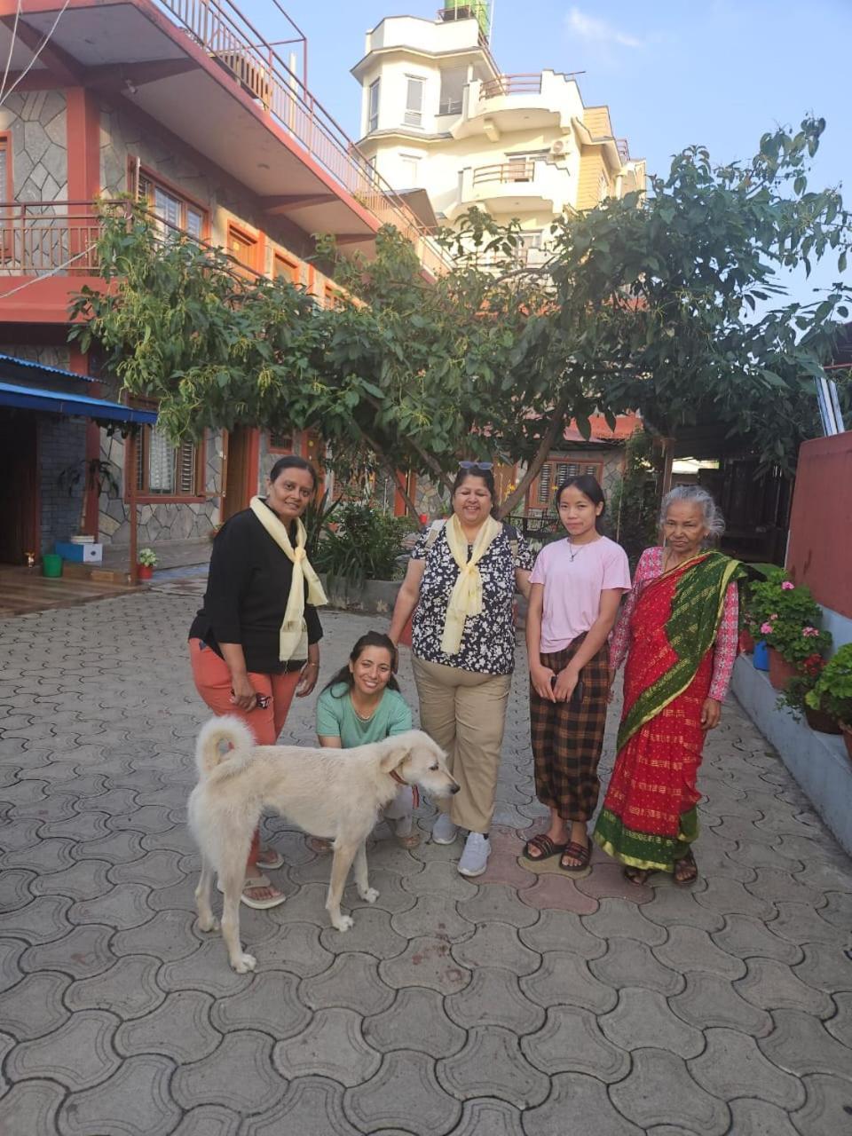 Pokhara Metro Eco Hotel ภายนอก รูปภาพ